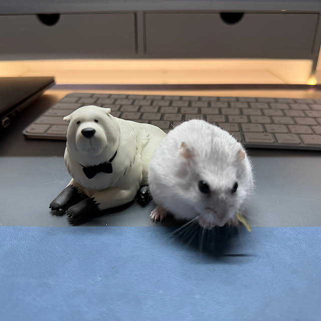 Rainyさんの部屋