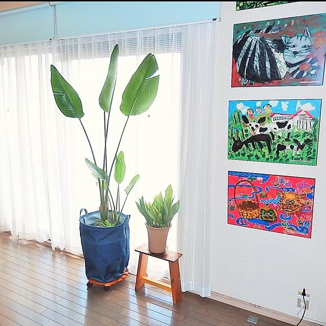 ampinさんの実例写真