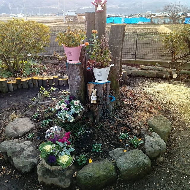 実例写真