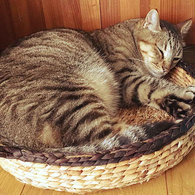 Miechamさんの実例写真