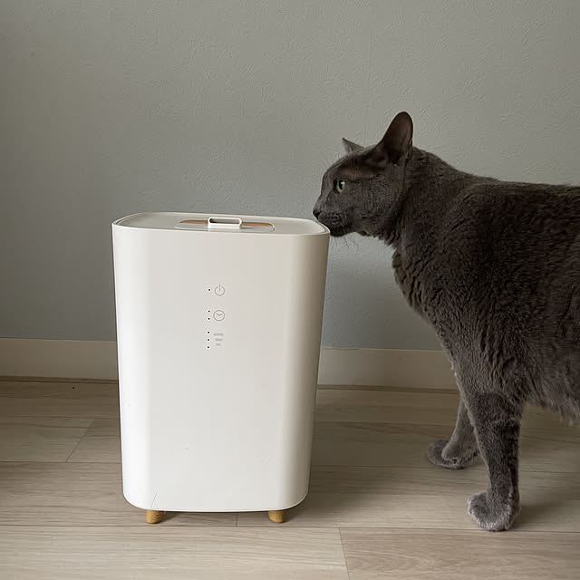 leaさんの実例写真