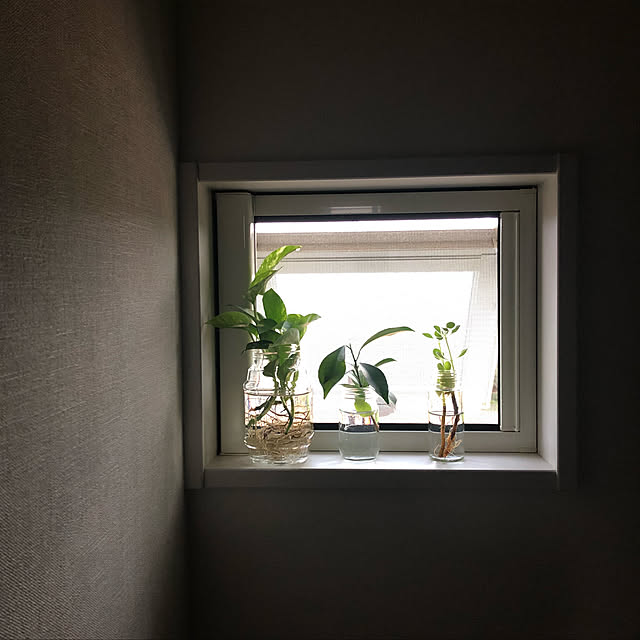 annem18さんの実例写真