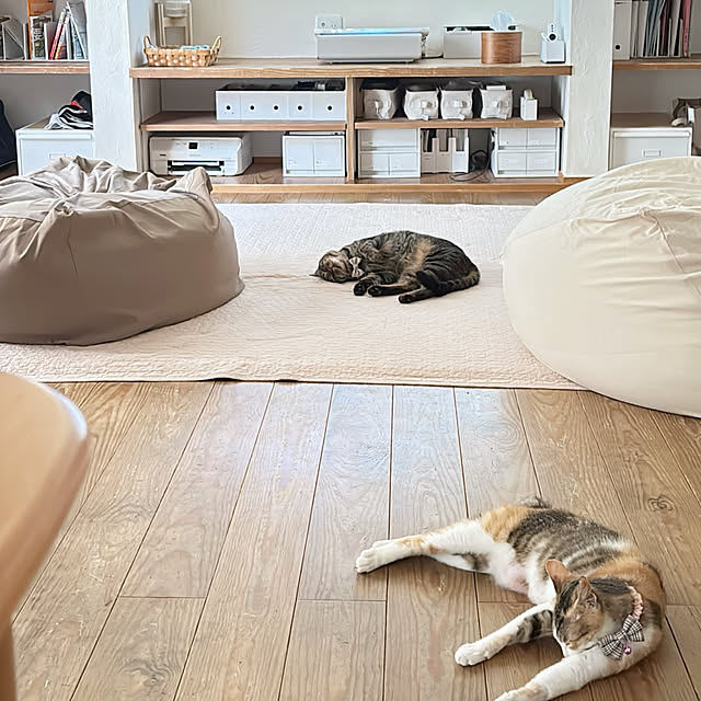 puu.tuuliさんの部屋
