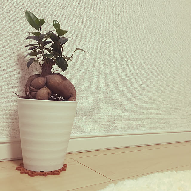 mikaeruさんの実例写真