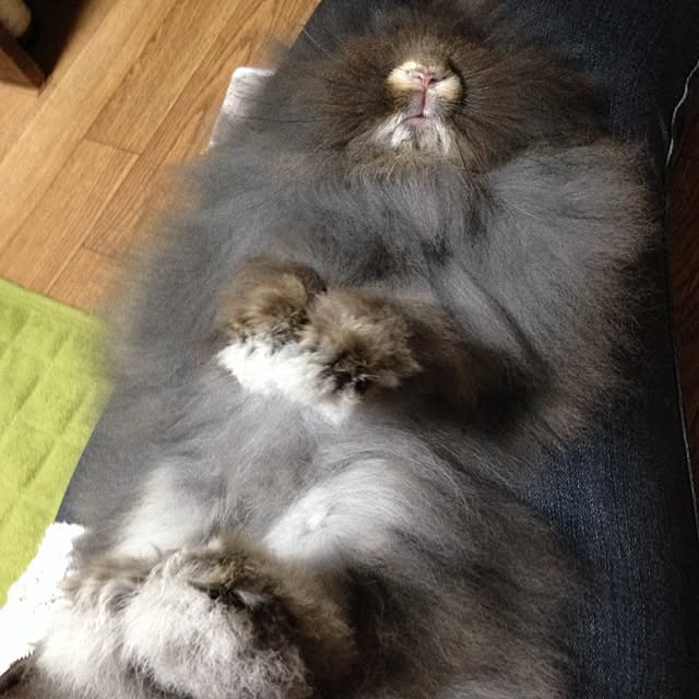 8717さんの実例写真