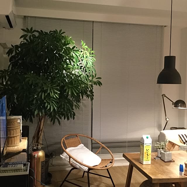 実例写真