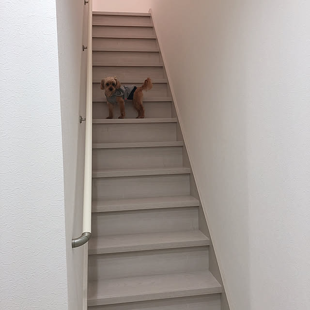 qooさんの実例写真