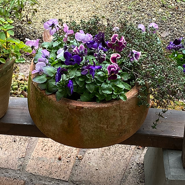 mimoza.さんの実例写真