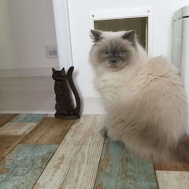 yuchiさんの実例写真