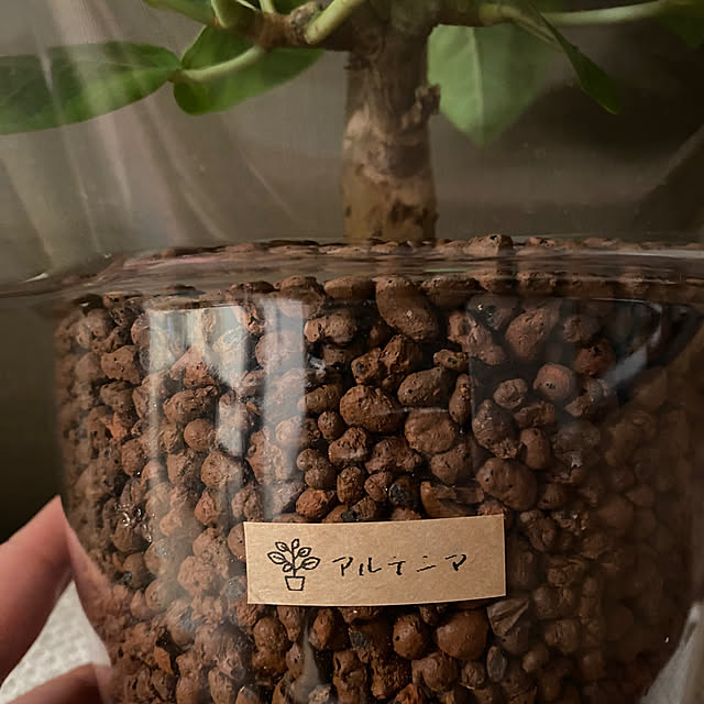 miさんの部屋