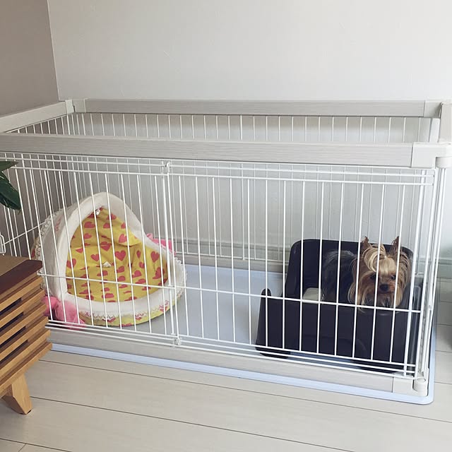 hanutaさんの実例写真