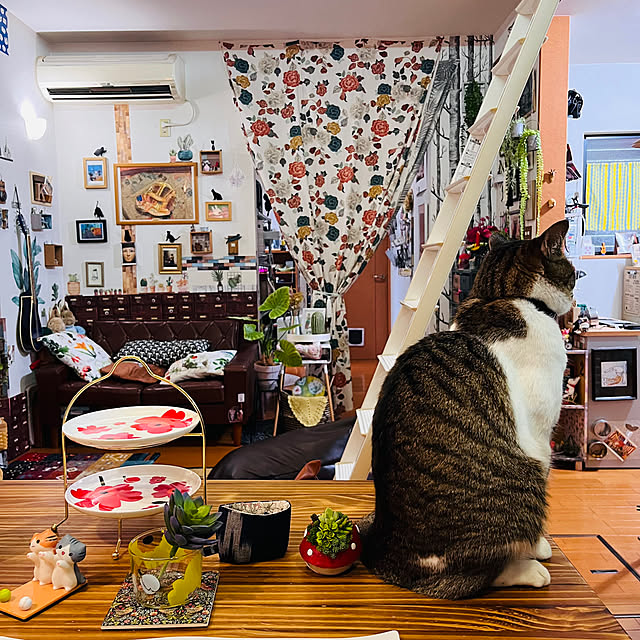 jijiさんの部屋