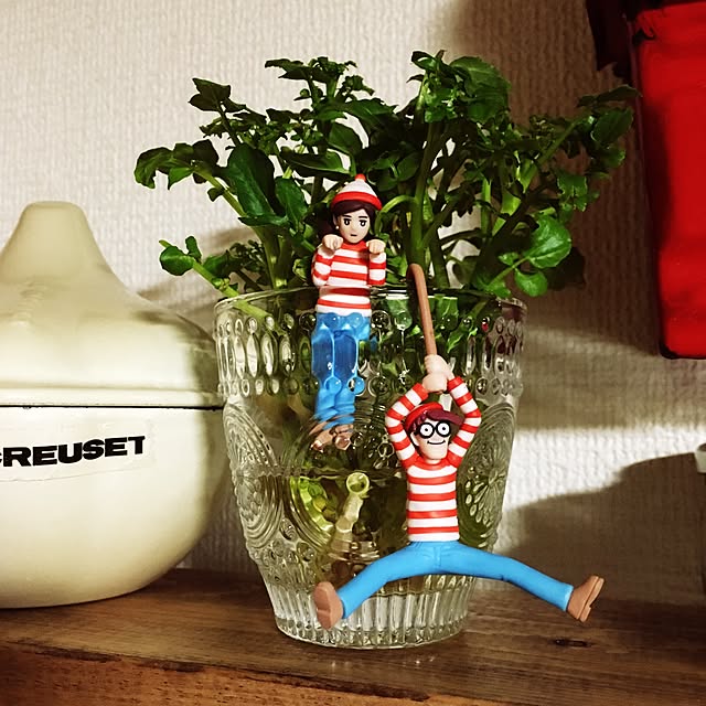 tsukushinboさんの実例写真