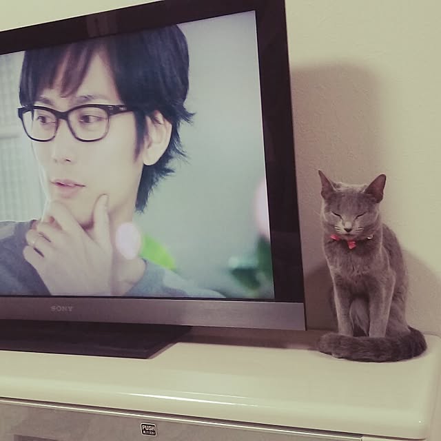 runyannkoさんの実例写真