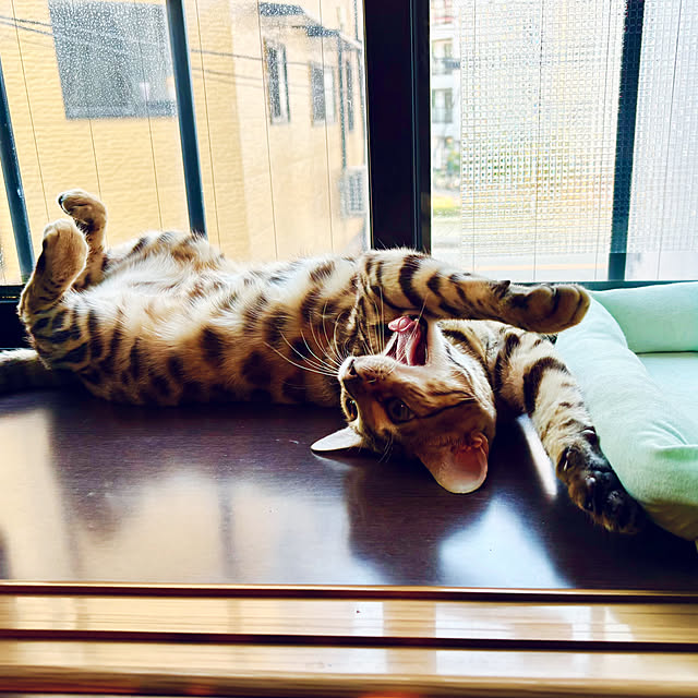 tututu0204さんの部屋