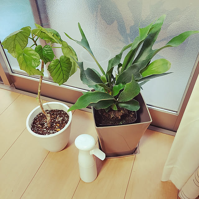 makkyさんの実例写真