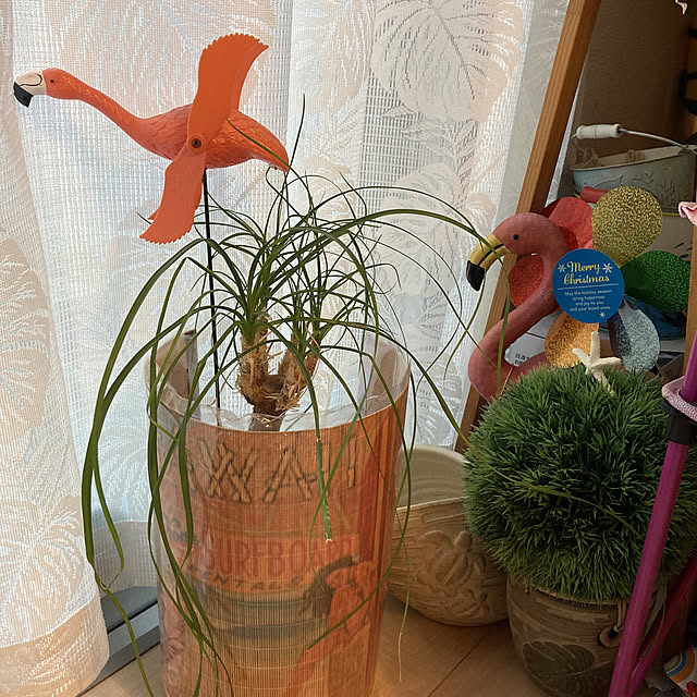 alohamamaさんの実例写真