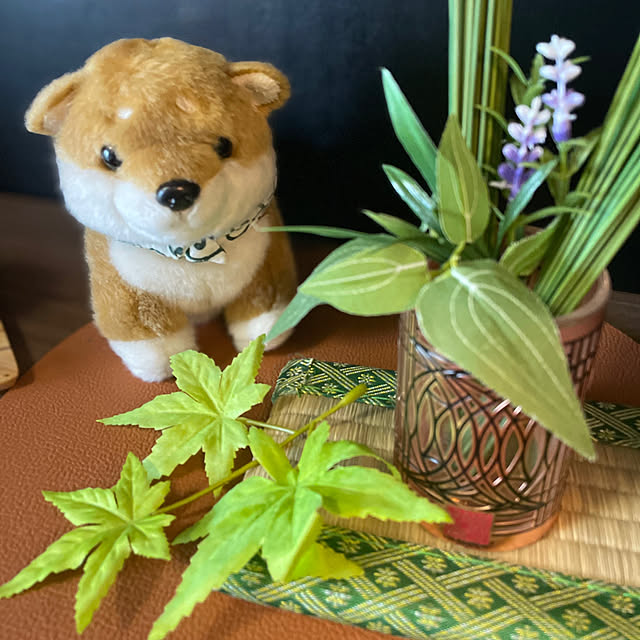aureaさんの実例写真