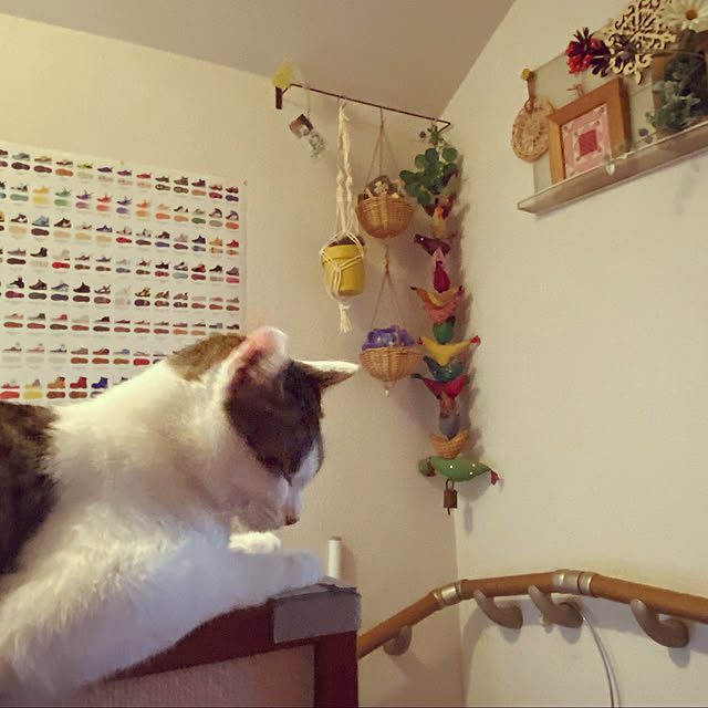 Lufuさんの実例写真