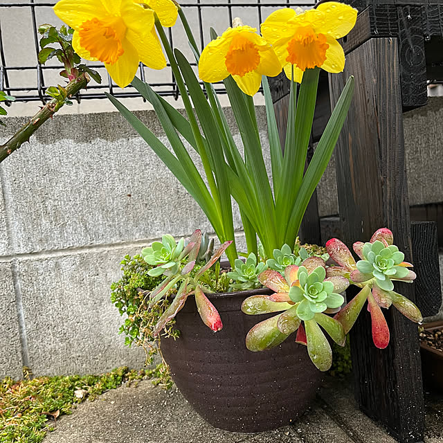Danさんの部屋