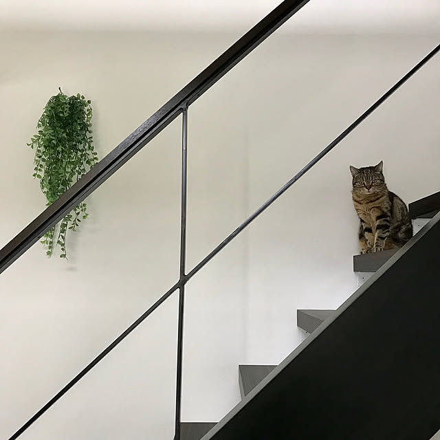 kaedeさんの実例写真