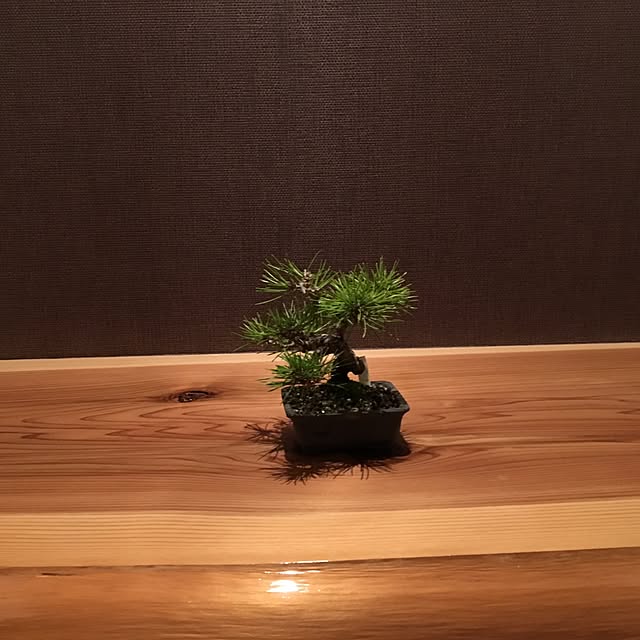 TETSUさんの実例写真