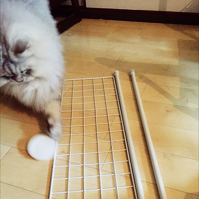 TOMOさんの実例写真