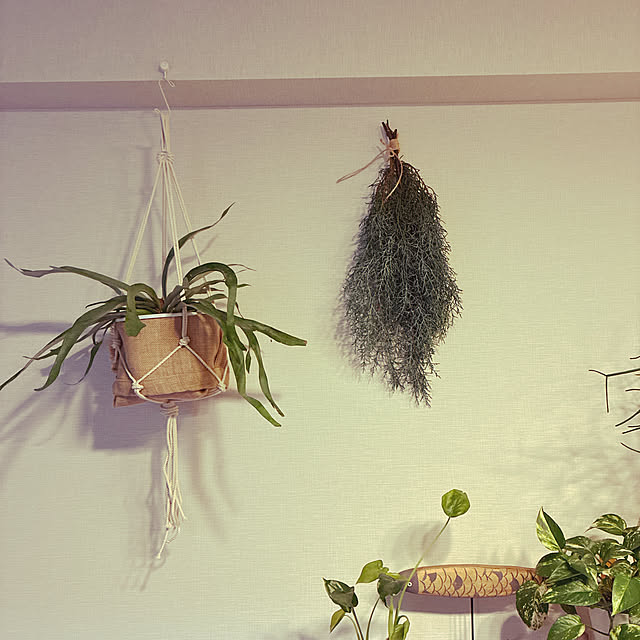 riomさんの実例写真