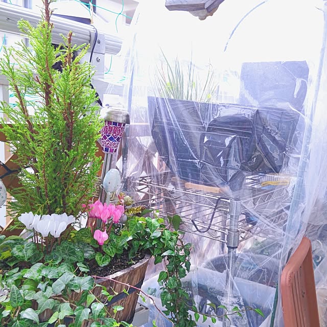 mariaさんの部屋