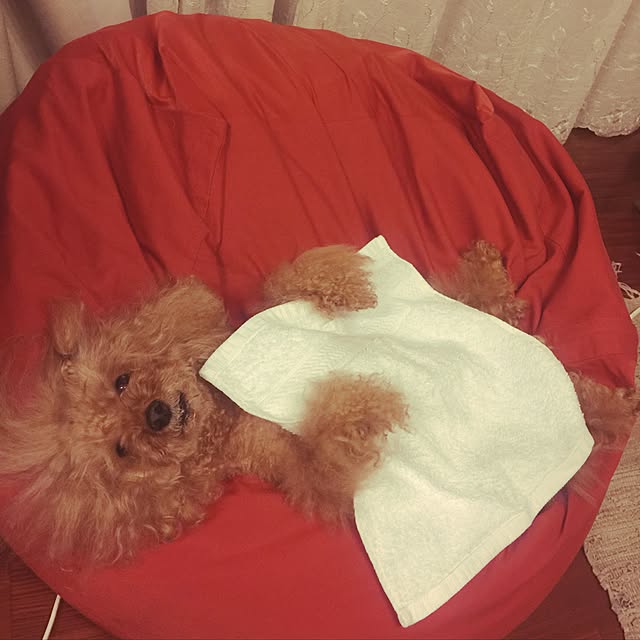 plumさんの実例写真