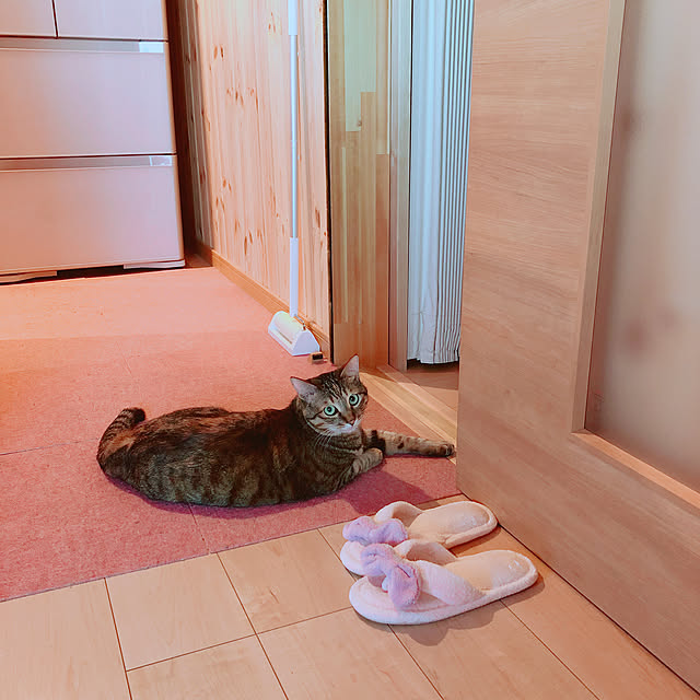 MASAさんの実例写真