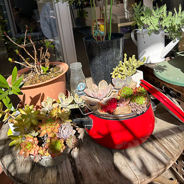 suemonta14さんの実例写真