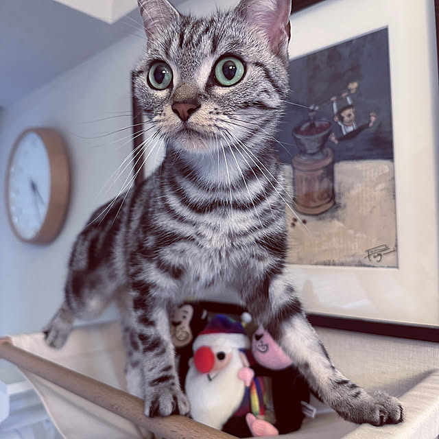 Yuki_with_a_tailさんの部屋