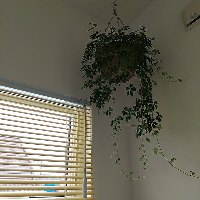 heyasukiさんの実例写真