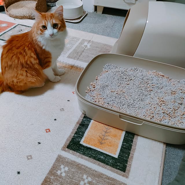 mori_6_12さんの実例写真