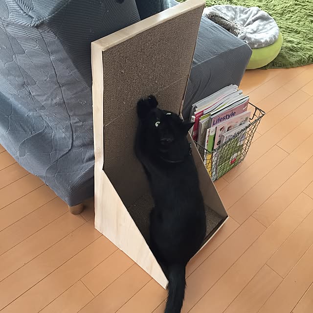 yuki0511さんの実例写真