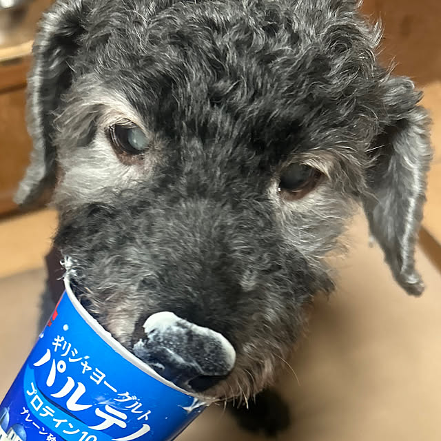 nnramさんの部屋