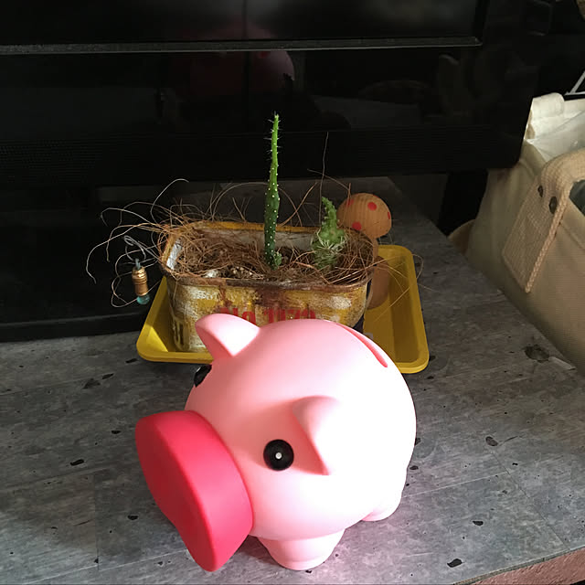 icietlaさんの実例写真