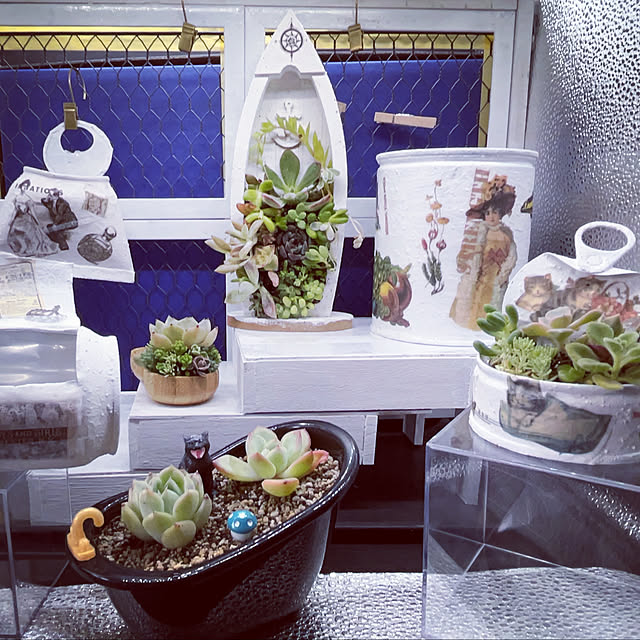 リメイク缶303☆多肉植物☺︎︎寄せ植え☺︎︎インテリア