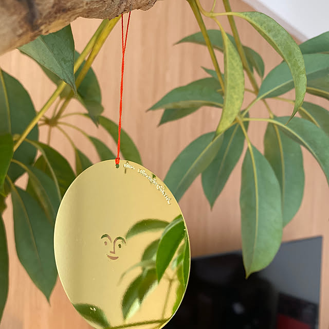 pepeさんの部屋