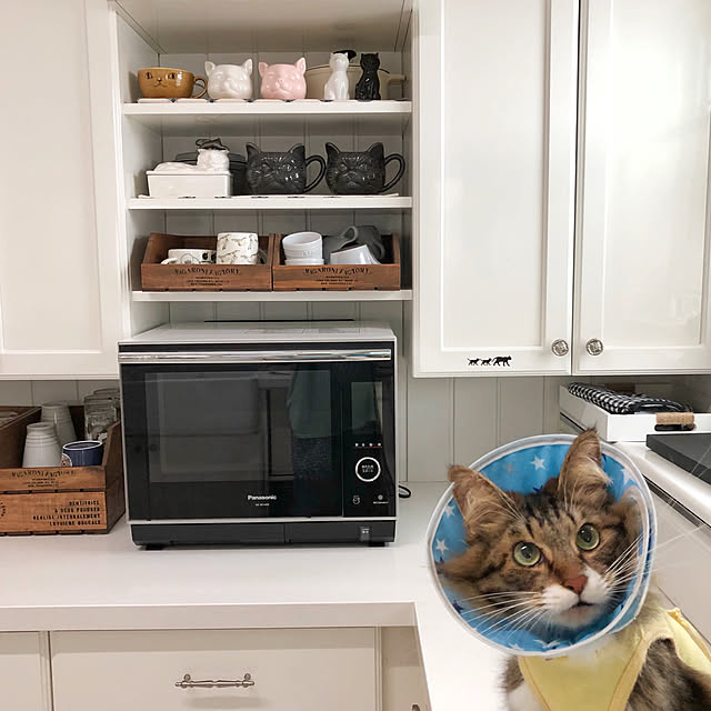 yuchiさんの実例写真