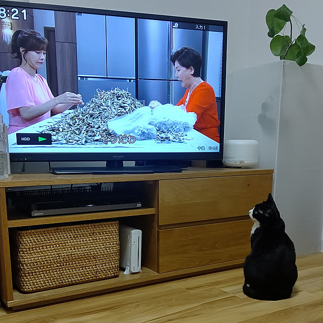 hihaさんの実例写真