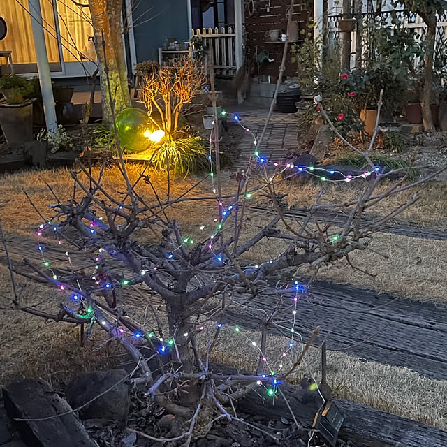 nobikoさんの部屋