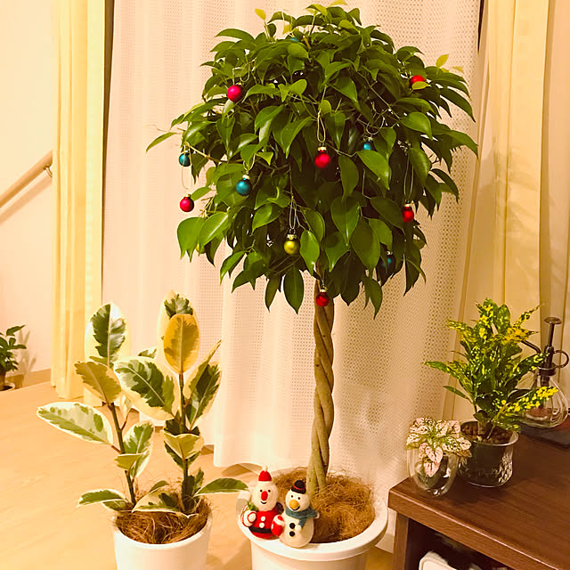 sikiさんの実例写真