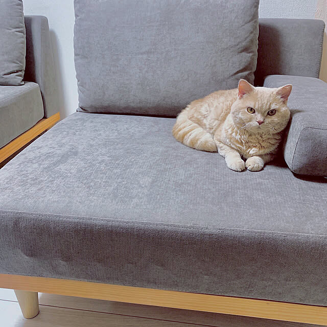 naokoさんの部屋