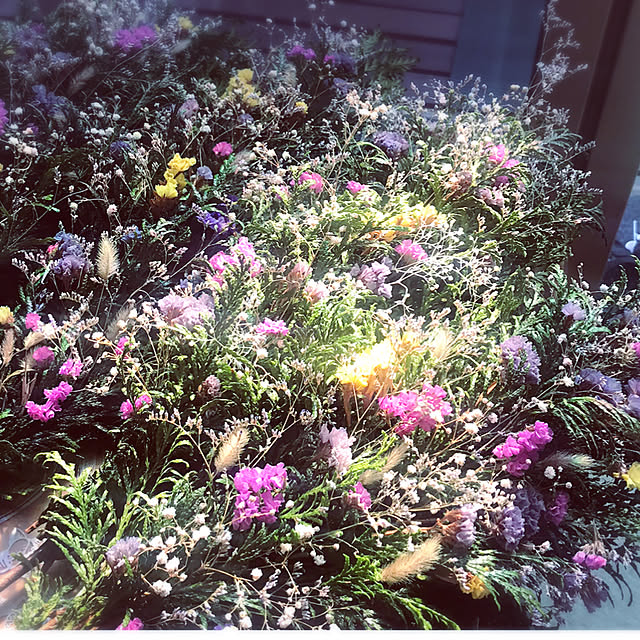 portulacaさんの実例写真