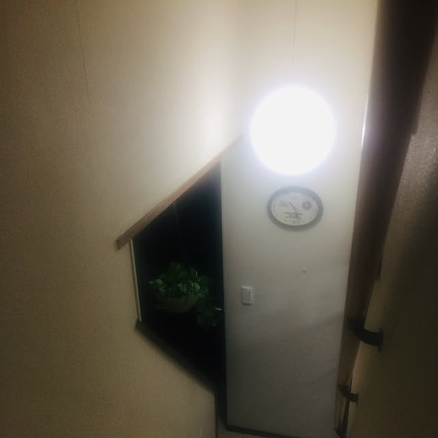 flowerさんの実例写真