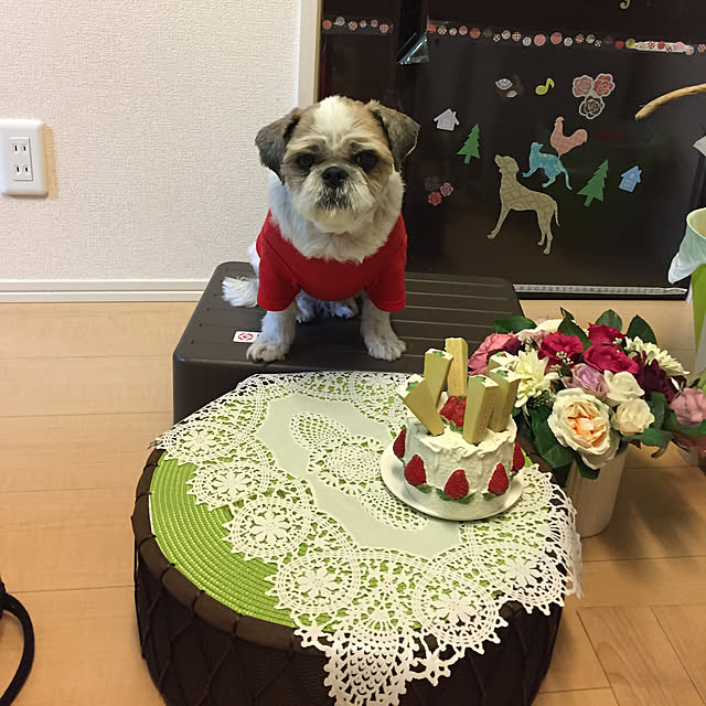 emiさんの実例写真