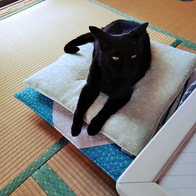 hiroさんの実例写真