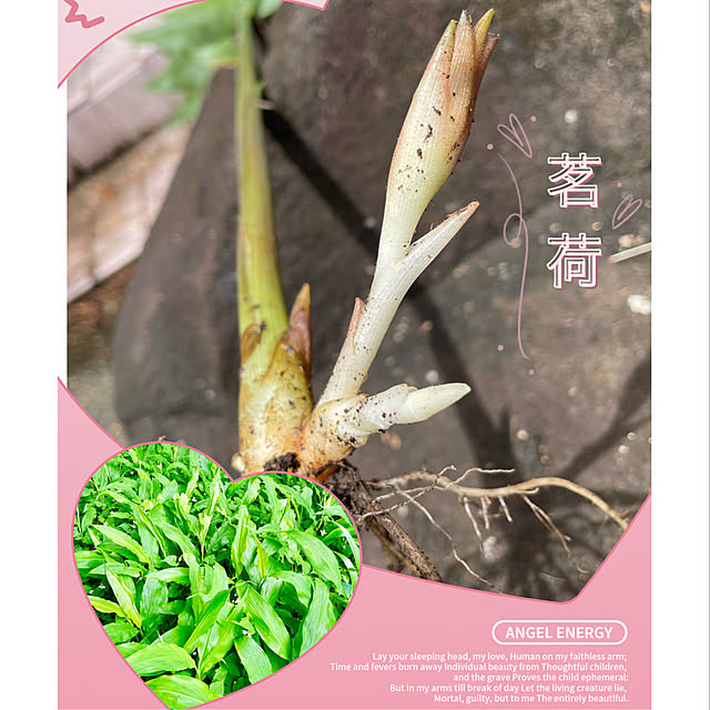yukatavillaさんの実例写真